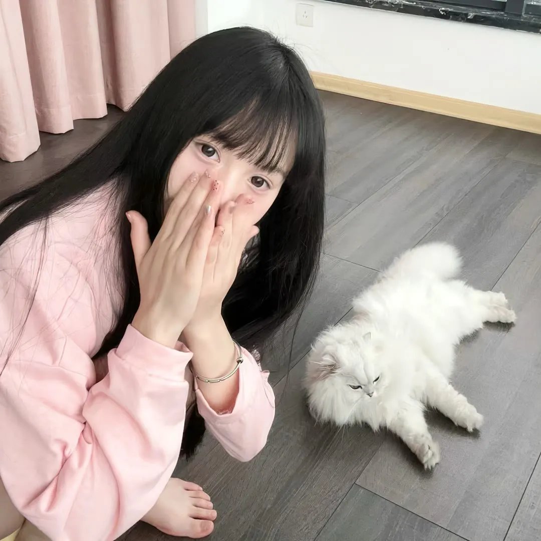 隆美尔宝藏